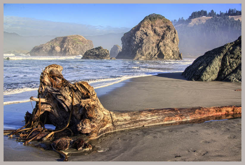 Oregon Coast 3609